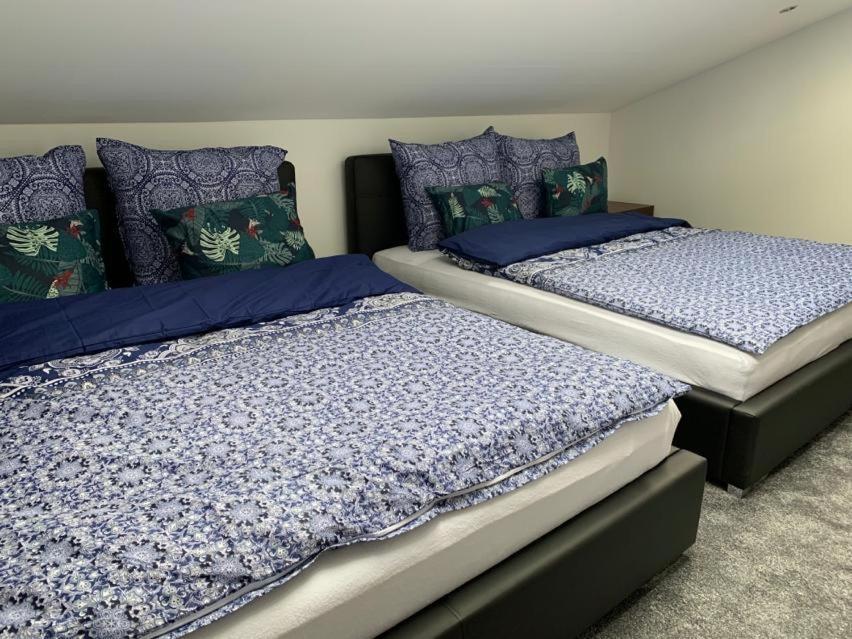 Look Of Dreams - Apartamenty Sloneczny I Ksiezycowy Będzin エクステリア 写真