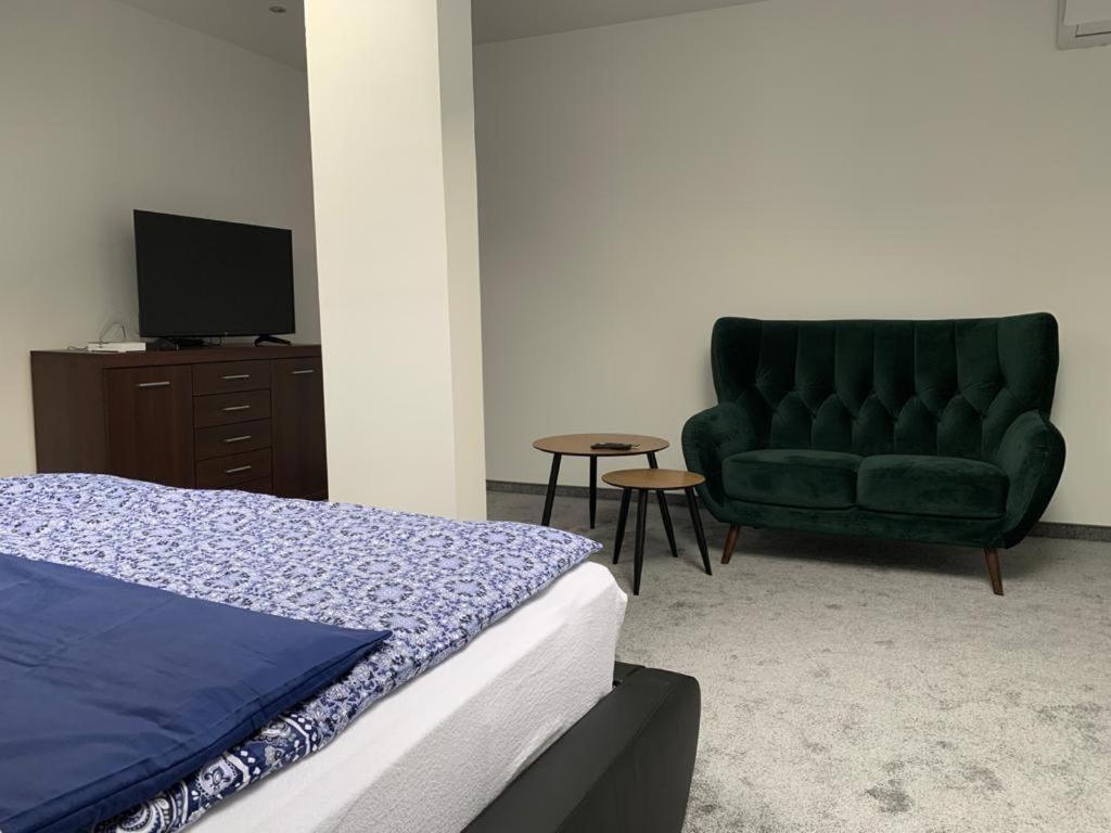 Look Of Dreams - Apartamenty Sloneczny I Ksiezycowy Będzin エクステリア 写真