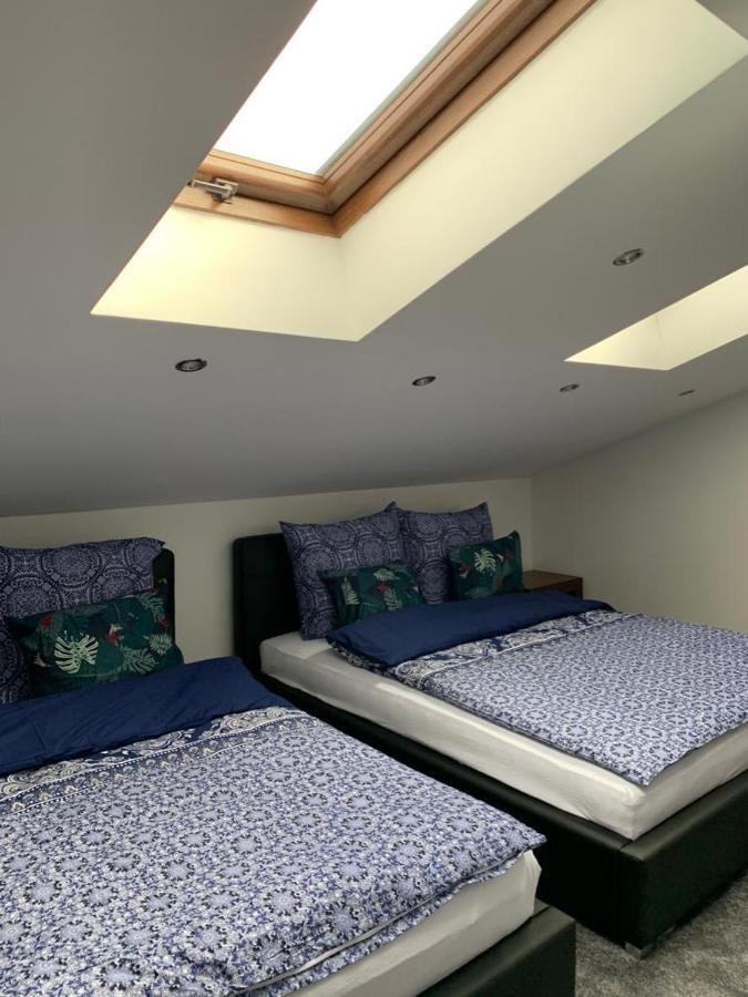 Look Of Dreams - Apartamenty Sloneczny I Ksiezycowy Będzin エクステリア 写真